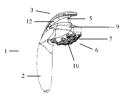 A single figure which represents the drawing illustrating the invention.